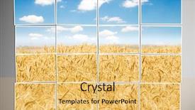  Presentation with cpa photos - Audience pleasing presentation consisting of land collage - barley field cut into many backdrop and a yellow colored foreground