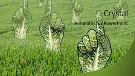  Presentation with students hands raised - Amazing presentation theme having land collage - raised green pointing hands backdrop and a  colored foreground