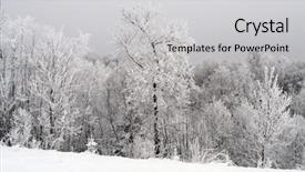  Presentation with nova scotia wood - Presentation design consisting of land cover - snowy wood landscape background and a  colored foreground