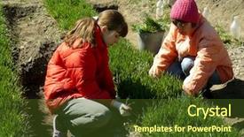  Presentation with green - Cool new presentation with reclamation - thinning out some green wheat backdrop and a tawny brown colored foreground