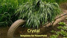  Presentation with wheat - Audience pleasing slide deck consisting of reclamation - wheelbarrow full of green wheat backdrop and a tawny brown colored foreground