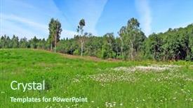  Presentation with meadow - Slides enhanced with land remediation - meadow near wood background and a  colored foreground