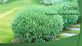  Presentation with garden - Presentation enhanced with land scape - beautiful lush bushes in garden background and a seafoam green colored foreground