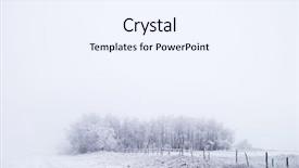  Presentation with solar tree evening landscape - Slide deck with land scape - group of trees background and a  colored foreground