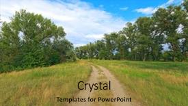  Presentation with forest road - PPT theme featuring little asian girl wearing pink dress and crown lying on the floor over white background background and a lemonade colored foreground.