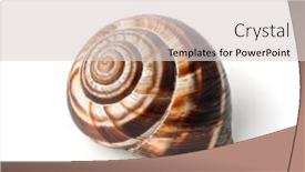  Presentation with land - Amazing slide set having land snail shell isolated on white backdrop and a lemonade colored foreground