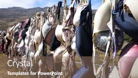  Presentation with new zealand - Amazing theme having landmark-bras-fence-in-new backdrop and a violet colored foreground