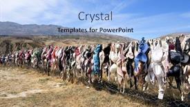  Presentation with new zealand - Slides having landmark-bras-fence-in-new background and a light blue colored foreground