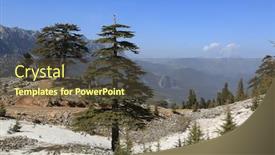  Presentation with cedar - Presentation design with landndscape-with-cedar-trees background and a tawny brown colored foreground