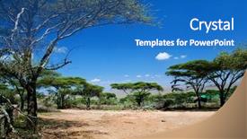  Presentation with serengeti africa - Slide deck featuring landscape acacia trees in africa background and a teal colored foreground