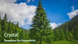  Presentation with heart clouds - Presentation design consisting of landscape alone tender pine-tree background and a tawny brown colored foreground