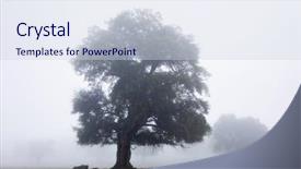  Presentation with fog - Cool new PPT layouts with landscape at winter with fog backdrop and a sky blue colored foreground