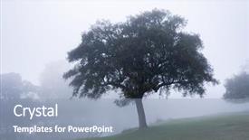  Presentation with fog - Slide set consisting of landscape at winter with fog background and a light blue colored foreground