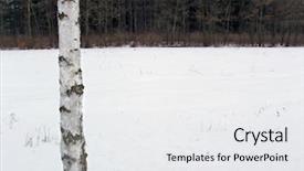  Presentation with literature paintings - Audience pleasing presentation theme consisting of red tread on a white background backdrop and a white colored foreground