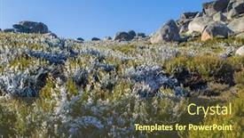  Presentation with ice - Presentation having landscape-covered-by-bushes background and a tawny brown colored foreground