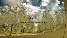  Presentation with landscape gardening - Slides having landscape cultivation vegetables olive oil background and a coral colored foreground