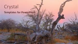  Presentation with rocky - Audience pleasing presentation theme consisting of landscape-dead-trees-in-rocky backdrop and a lemonade colored foreground