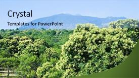  Presentation with woodland - Cool new presentation design with landscape-for-volcano-etna backdrop and a light blue colored foreground