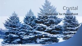  Presentation with pine trees - Slide deck having landscape-forest-in-winter background and a light blue colored foreground