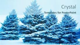  Presentation with pine trees - PPT theme having landscape-forest-in-winter background and a sky blue colored foreground