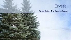  Presentation with pine trees - Presentation theme having landscape forest in winter and pine trees covered by snow background and a sky blue colored foreground