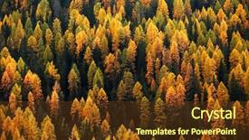  Presentation with forest - Cool new PPT layouts with landscape format - larch forest abstract background backdrop and a tawny brown colored foreground