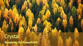  Presentation with abstract green forest - Beautiful presentation design featuring landscape format - larch forest abstract background backdrop and a tawny brown colored foreground