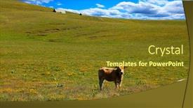  Presentation with farm - Presentation design with landscape-from-aubrac-green-meadow background and a tawny brown colored foreground
