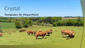  Presentation with nouvelle aquitaine - Slides featuring landscape-green-hills-in-french background and a light blue colored foreground