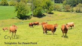  Presentation with nouvelle aquitaine - Amazing presentation theme having landscape-green-hills-with-brown backdrop and a yellow colored foreground