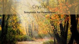  Presentation with forest road - Amazing PPT theme having landscape-image-of-dirt-countryside backdrop and a yellow colored foreground