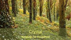  Presentation with fall-leaves - Amazing presentation design having landscape-in-a-deep-forest backdrop and a tawny brown colored foreground