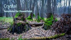  Presentation with moss - Theme with landscape-in-deep-forest background and a ocean colored foreground