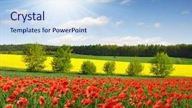  Presentation with groundwater spring - Presentation theme enhanced with landscape in the czech republic background and a sky blue colored foreground