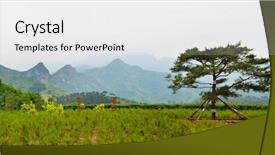  Presentation with plantation - Audience pleasing slide set consisting of landscape near beijing trees plantation backdrop and a white colored foreground