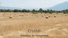  Presentation with hay field - Slides consisting of landscape-of-a-large-hay background and a coral colored foreground