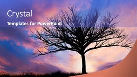  Presentation with tree - Presentation theme featuring landscape-of-a-solitary-tree background and a teal colored foreground