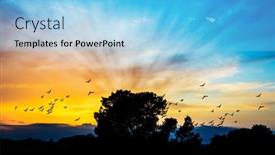  Presentation with birds - Presentation design having landscape-of-a-sunset background and a light blue colored foreground