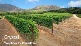  Presentation with cape town south africa - Presentation theme with landscape of a vineyard background and a coral colored foreground