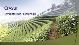  Presentation with beautiful spanish landscape costa blanca - Beautiful PPT layouts featuring landscape of beautiful tea planation backdrop and a  colored foreground