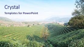  Presentation with beautiful spanish landscape costa blanca - PPT layouts having landscape of beautiful tea planation background and a  colored foreground