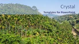  Presentation with betel nut - Beautiful presentation theme featuring landscape-of-betel-nut-tree backdrop and a light blue colored foreground