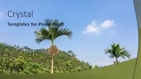  Presentation with betel nut - Audience pleasing PPT theme consisting of landscape-of-betel-nut-tree backdrop and a light blue colored foreground