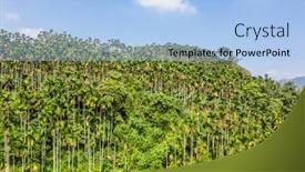  Presentation with betel nut - Cool new slide deck with landscape-of-betel-nut-tree backdrop and a light blue colored foreground