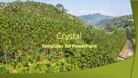  Presentation with betel nut - PPT layouts with landscape-of-betel-nut-tree background and a tawny brown colored foreground