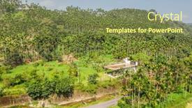  Presentation with betel nut - Presentation featuring landscape-of-betel-nut-tree background and a tawny brown colored foreground