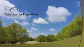  Presentation with trees - Slide deck consisting of landscape-of-broom-trees background and a teal colored foreground