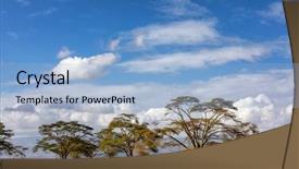  Presentation with summer trees - Cool new presentation with landscape of fever trees vachellia backdrop and a light blue colored foreground