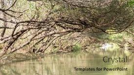  Presentation with green city - Slides consisting of landscape-of-forest-near-sicao background and a coral colored foreground