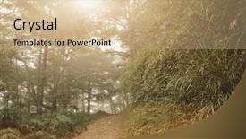  Presentation with nobody - PPT theme enhanced with landscape of forest with mist background and a soft green colored foreground